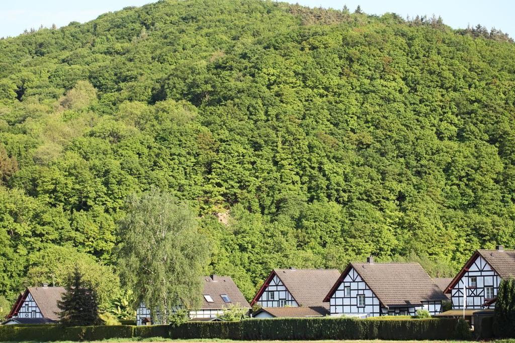 Апартаменти Bos En Kasteel Нідеґґен Екстер'єр фото